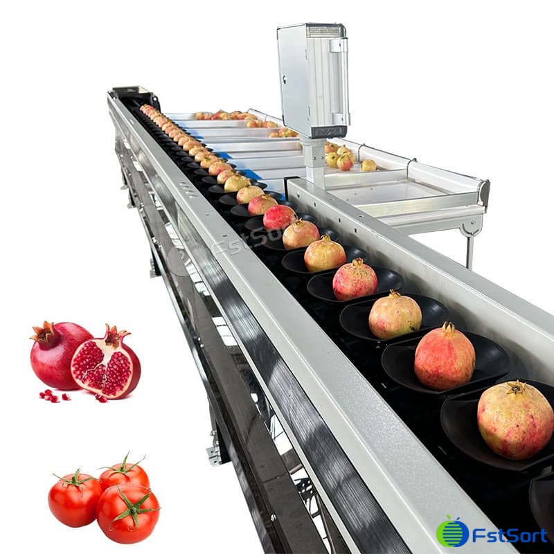 images/1763099793983guava 1.jpg